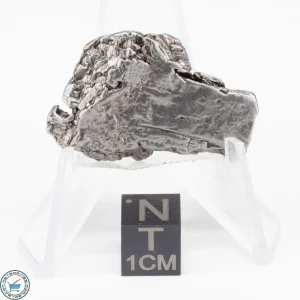 Aletai Meteorite 24.5g Crystal