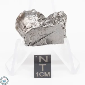 Aletai Meteorite 25.2g Crystal