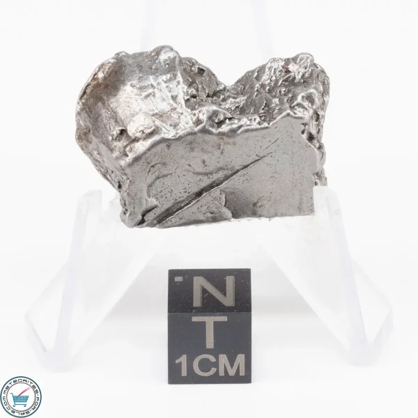Aletai Meteorite 25.2g Crystal