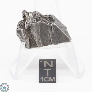 Aletai Meteorite 24.9g Crystal
