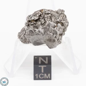 Aletai Meteorite 23.7g Crystal