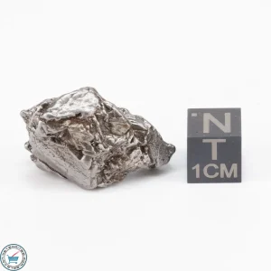 Aletai Meteorite 21.9g Crystal