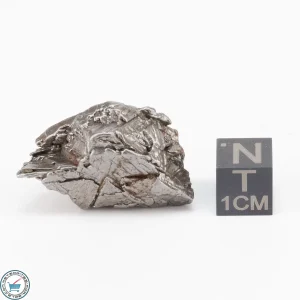 Aletai Meteorite 24.2g Crystal