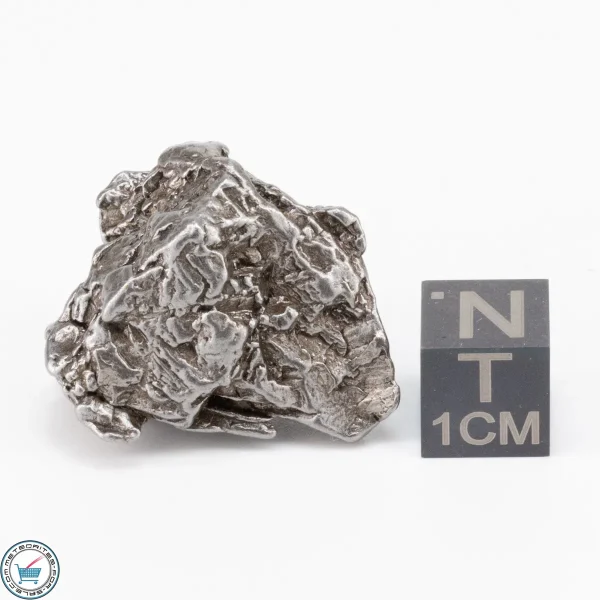 Aletai Meteorite 28.7g Crystal