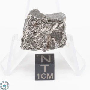 Aletai Meteorite 22.9g Crystal
