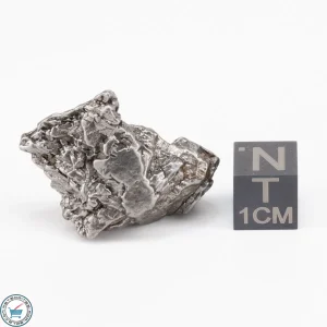Aletai Meteorite 22.7g Crystal
