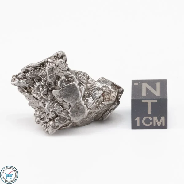 Aletai Meteorite 22.7g Crystal