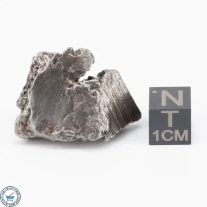 Aletai Meteorite 23.5g Crystal