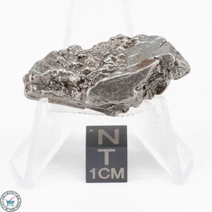Aletai Meteorite 27.7g Crystal