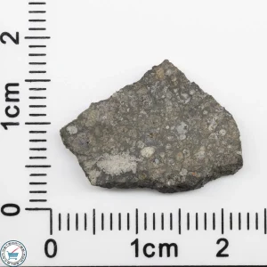 Allende Meteorite Slice 1.07g