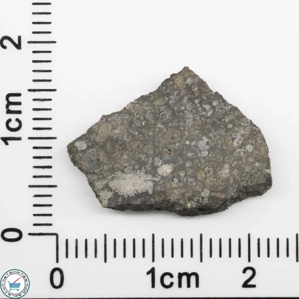 Allende Meteorite Slice 1.07g
