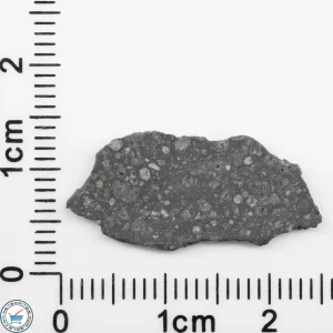 Allende Meteorite Slice 0.65g