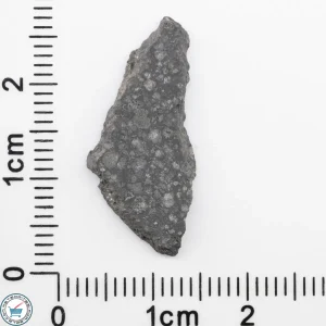 Allende Meteorite Slice 1.06g