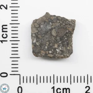 Allende Meteorite Slice 1.0g