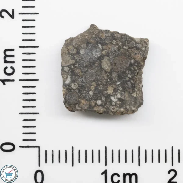 Allende Meteorite Slice 1.0g