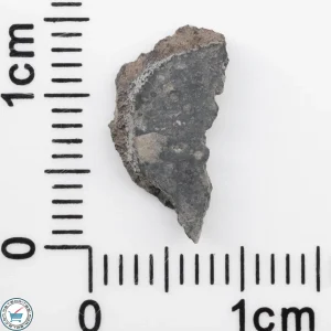 Allende Meteorite Slice 0.38g