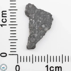 Allende Meteorite Slice 0.31g
