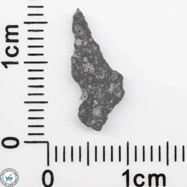 Allende Meteorite Slice 0.19g