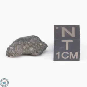 Allende Meteorite End-Cut 0.58g
