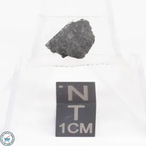 Allende Meteorite  0.44g