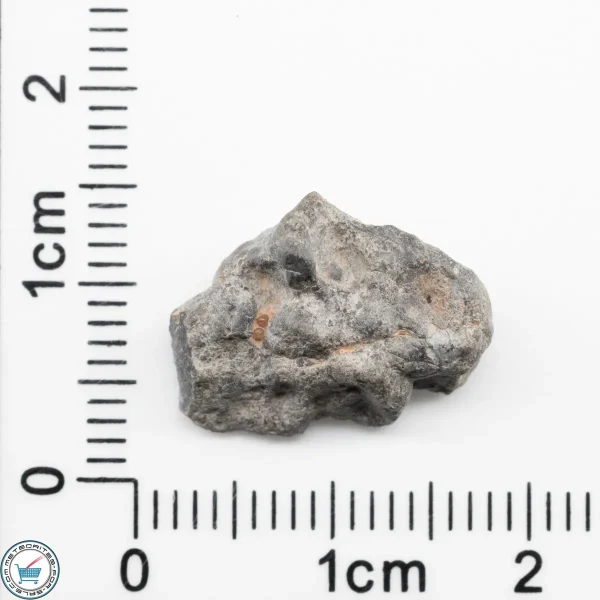 Bechar 003 Lunar Meteorite 1.55g