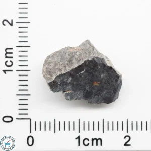 Bechar 003 Lunar Meteorite 1.55g