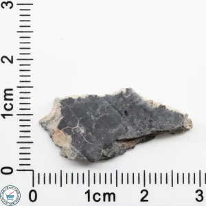 Bechar 003 Lunar Meteorite 1.81g