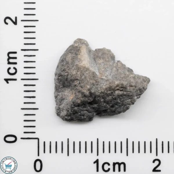 Bechar 003 Lunar Meteorite 1.29g