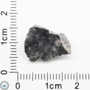Bechar 003 Lunar Meteorite 1.29g