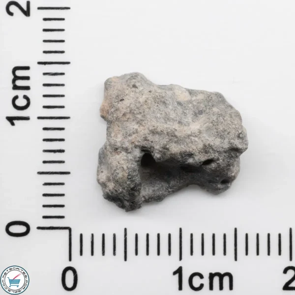 Bechar 003 Lunar Meteorite 1.21g
