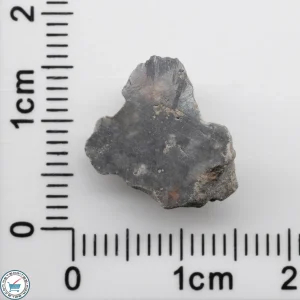 Bechar 003 Lunar Meteorite 1.21g