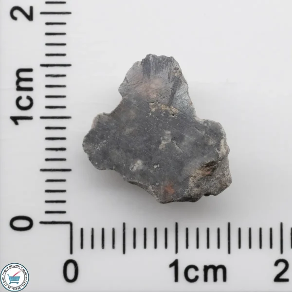 Bechar 003 Lunar Meteorite 1.21g