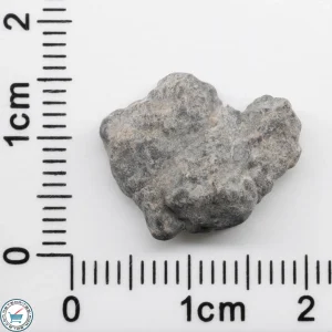 Bechar 003 Lunar Meteorite 1.69g