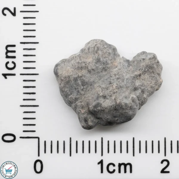 Bechar 003 Lunar Meteorite 1.69g