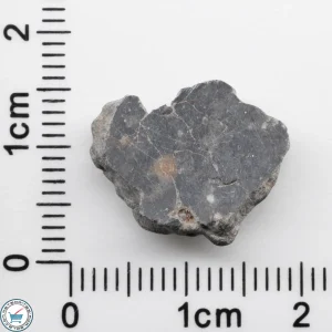 Bechar 003 Lunar Meteorite 1.69g