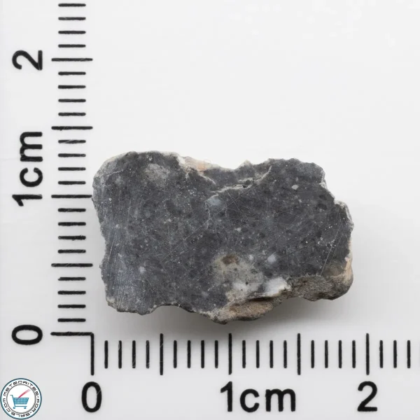 Bechar 003 Lunar Meteorite 1.62g