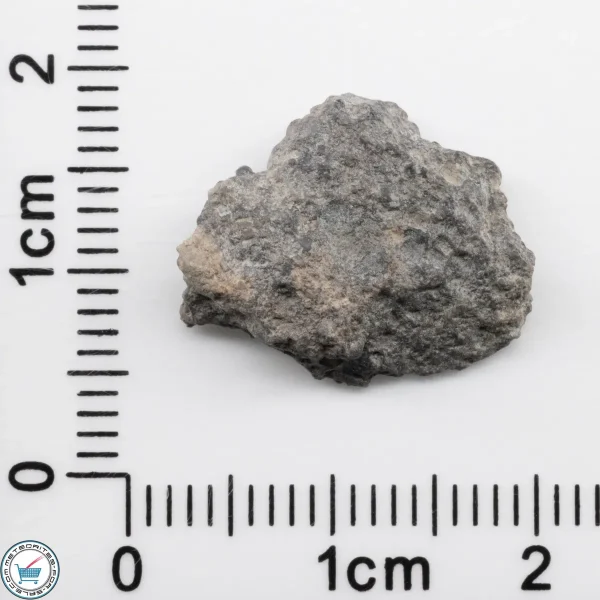 Bechar 003 Lunar Meteorite 1.68g