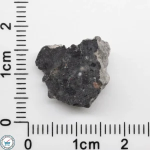 Bechar 003 Lunar Meteorite 1.39g