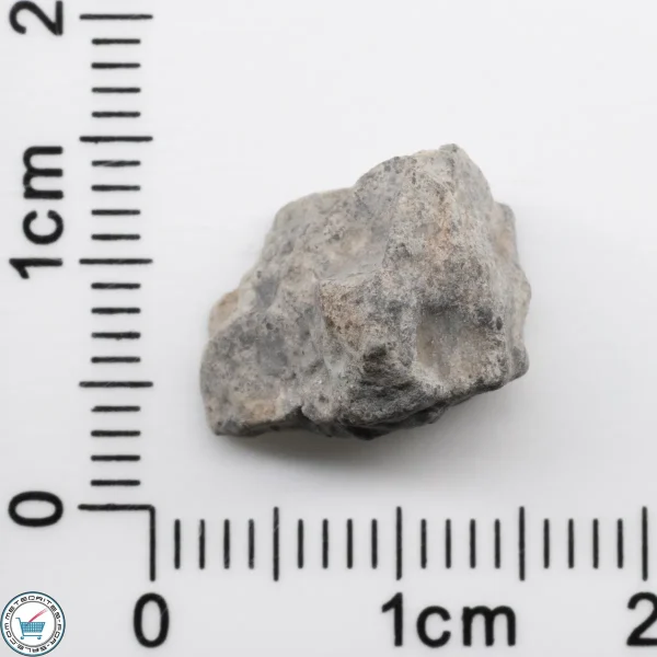 Bechar 003 Lunar Meteorite 1.75g