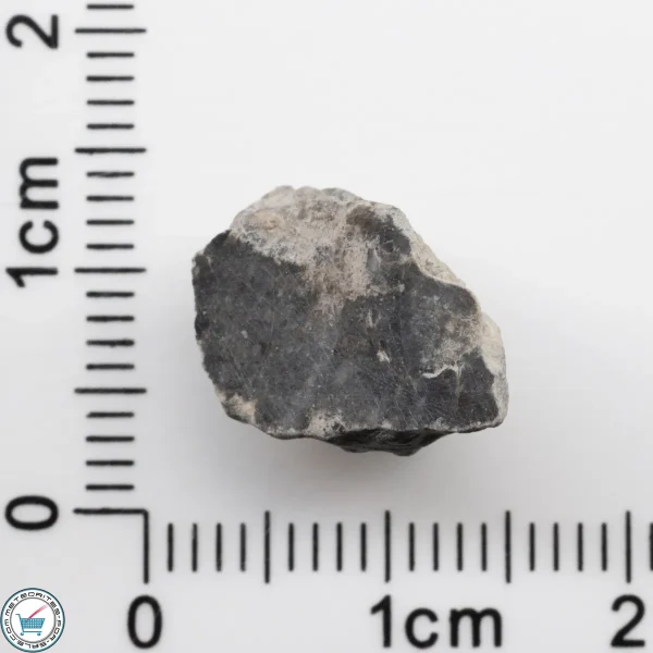 Bechar 003 Lunar Meteorite 1.75g