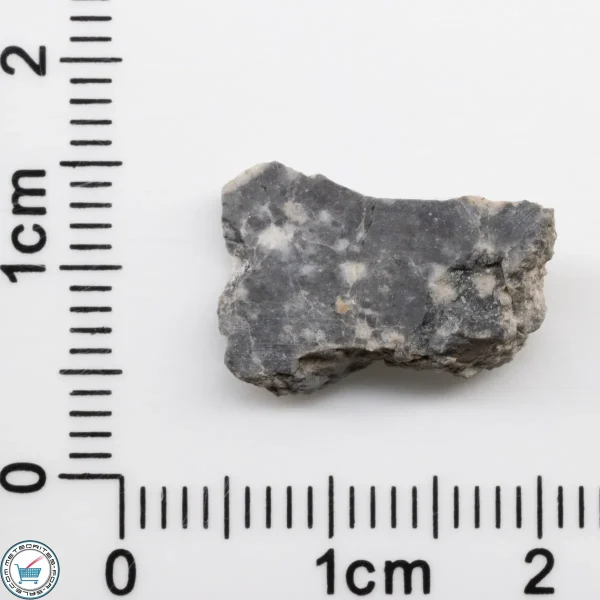 Bechar 003 Lunar Meteorite 0.98g