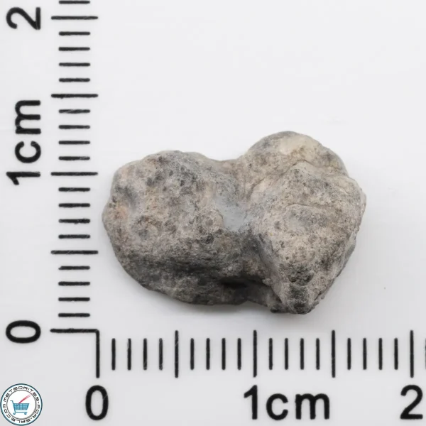 Bechar 003 Lunar Meteorite 1.66g