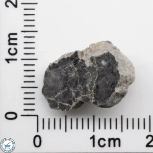 Bechar 003 Lunar Meteorite 1.66g