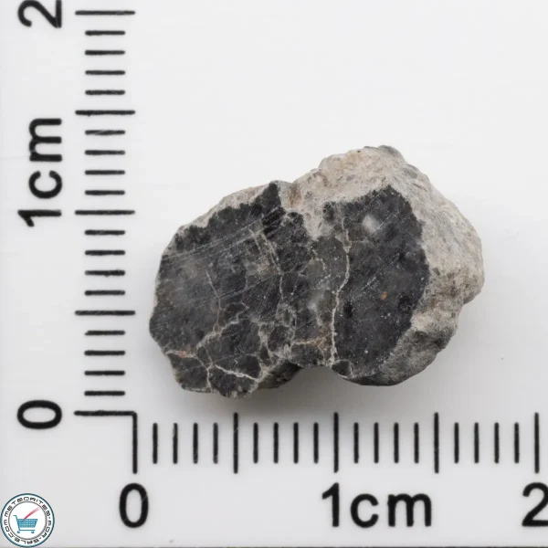 Bechar 003 Lunar Meteorite 1.66g