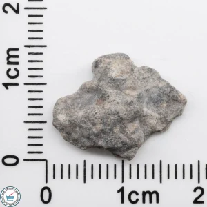 Bechar 003 Lunar Meteorite 1.08g