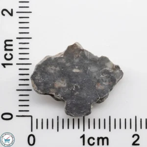 Bechar 003 Lunar Meteorite 1.08g