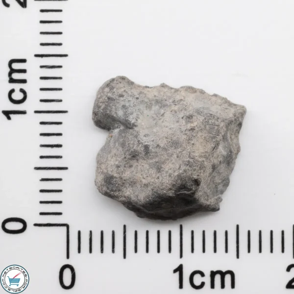 Bechar 003 Lunar Meteorite 1.15g