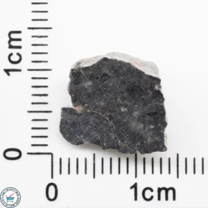 Bechar 003 Lunar Meteorite 1.15g