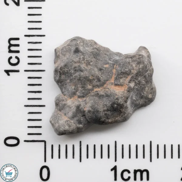 Bechar 003 Lunar Meteorite 1.43g