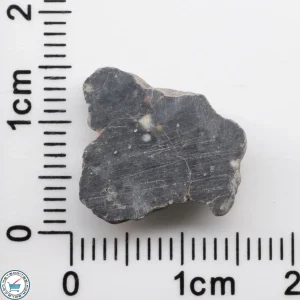 Bechar 003 Lunar Meteorite 1.43g